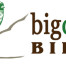 bird-on-branch-text-logo